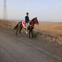اسبکورد