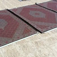 فرش دستباف بیدگینه|فرش|زنجان, |دیوار