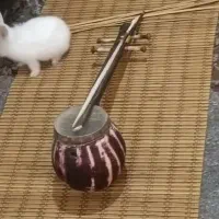 کمانچه دست ساز|سازهای سنتی|بروجرد, |دیوار