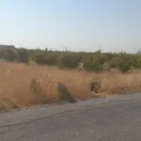 زمین کشاورزی و مسکونی|فروش دفتر صنعتی، کشاورزی، تجاری|مرودشت, محمد آباد|دیوار