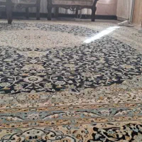 یک جفت قالی 12متری|فرش|شیراز, شهرک برف فروشان|دیوار