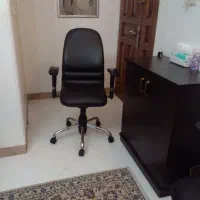 صندلی کامپیوتر( نیلپر)