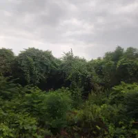 فرصت-استثنایی-برای-ساخت-ویلا-در-شهرک-مجهز
