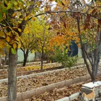 سرایدار آقا وخانم