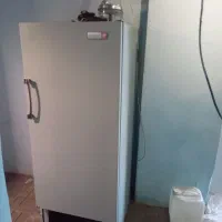 لوازم منزل|فرش|ملکآباد, |دیوار