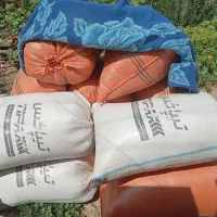 کاه عدس