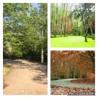 زمین جنگلی جاده رشت تهران|فروش زمین و ملک کلنگی|رشت, گیل|دیوار