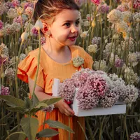 عکاسی فضای باز|خدمات پذیرایی، مراسم|اصفهان, قهجاورستان|دیوار