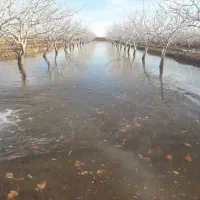 کارگر آبداری و زور بارکنی هستم