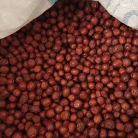 عناب دمنوشی