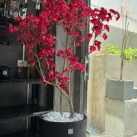 درختچه شکوفه با گلدان مینیمال و مدرن|گل مصنوعی|تهران, زعفرانیه|دیوار