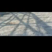 زمین-دونبش-شهرک-امام-حسین-قهجاورستان