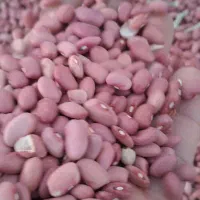 لوبیا قرمز قمی|خوردنی و آشامیدنی|کمیجان, |دیوار