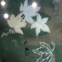 لباس زنانه|لباس|شوشتر, |دیوار