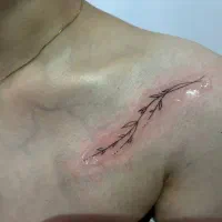 تتو بدن بانوان با بهترین مواد و مناسبترین قیمت|خدمات آرایشگری و زیبایی|تهران, افسریه جنوبی|دیوار