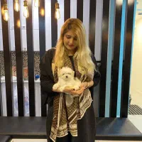 مالتیز،پودل کراس،سایز صفر