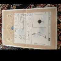 باغ ویلا