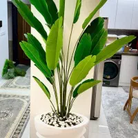 درختچه های وارداتی|گل مصنوعی|رشت, لاکان|دیوار