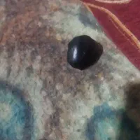 سنگهای قیمتی کمیاب|کلکسیون اشیاء عتیقه|بندرعباس, |دیوار