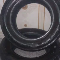 لاستیک بارز ۲۰۵*۱۵*۶۰|قطعات یدکی و لوازم جانبی|مراغه, |دیوار