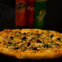 استخدام نیرو کار