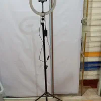 وسایل|تخت و سرویس خواب|کوهدشت, |دیوار