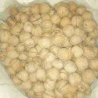 گردو خشک درجه یک پوس کاغدی امسال سیسخت