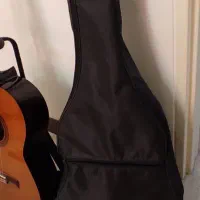 گیتار کلاسیک پرینس|گیتار، بیس، امپلیفایر|تهران, تهرانسر غربی|دیوار