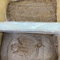 کشمش حلوایی و خمیر کشمش|خوردنی و آشامیدنی|تاکستان, |دیوار