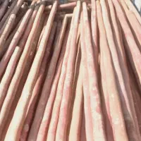 لوله فنس|مصالح و تجهیزات ساختمان|برازجان, |دیوار