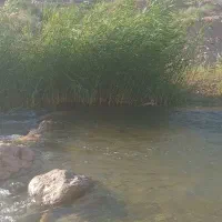 باغ شخصی بزرگ لب روداقامت کوتاه مدت