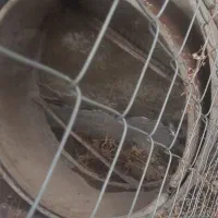 کبر قنات|مصالح و تجهیزات ساختمان|همدان, |دیوار