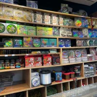 فروشگاه ماهگیری|ماهیگیری|اصفهان, نقش جهان|دیوار