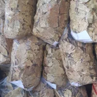 فروش و خرید ارد و نان