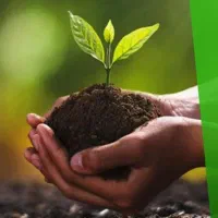 انواع کود کشاورزی