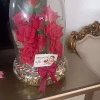 گل کلکسیونی