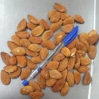 خرید و فروش انواع گردو و بادام بصورت نقدی|خدمات باغبانی و درختکاری|شهرکرد, |دیوار