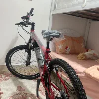 دوچرخه حرفه‌ای۲۶