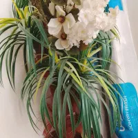 حراج|حراج|بومهن, |دیوار