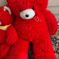 خرس بزرگ قرمز و خرس طوسی شخصیت دار