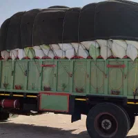 بنز تک ۱۹۷۷