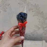 گلشاخهای کاغذی|گل مصنوعی|قم, حکمت شمالی|دیوار