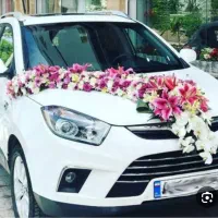 اجاره ماشین عروس دربستی وی ای پی