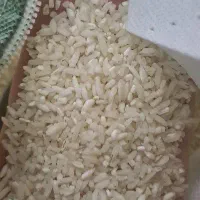 برنج لاشه  هاشمی درجه ۱