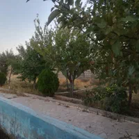 باغ|فروش خانه و ویلا|مشهد, گنبدواز|دیوار