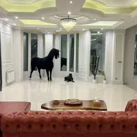 اجاره روزانه ویلا فوق لاکچری|اجارهٔ کوتاه‌مدت ویلا و باغ|محمدشهر, محمدشهر|دیوار