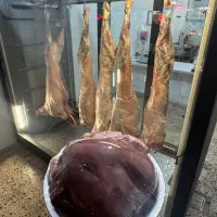جشنواره تخفیفی فروش گوشت بزغاله/بره/جگرتازه