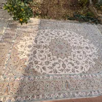 فرش دستباف|فرش|اصفهان, عسگریه|دیوار