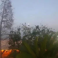 بلیط رایگان اوپارک