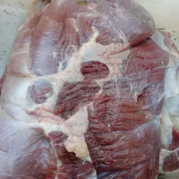 گوشت گاو و گوساله وگوسفندی